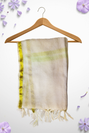 Ivory & Lime Net Dupatta | Touch of Shine