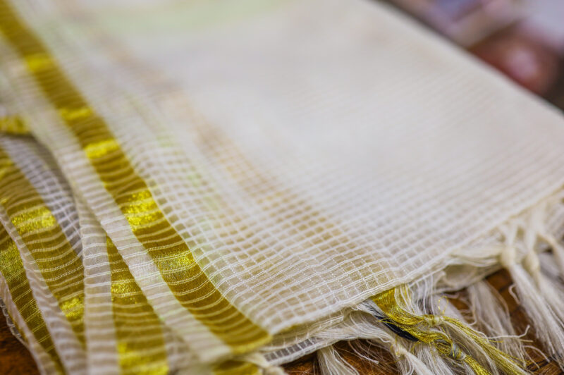 Ivory & Lime Net Dupatta | Touch of Shine - Image 2